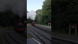 STEAM TRAIN IS PASSING THE STATION