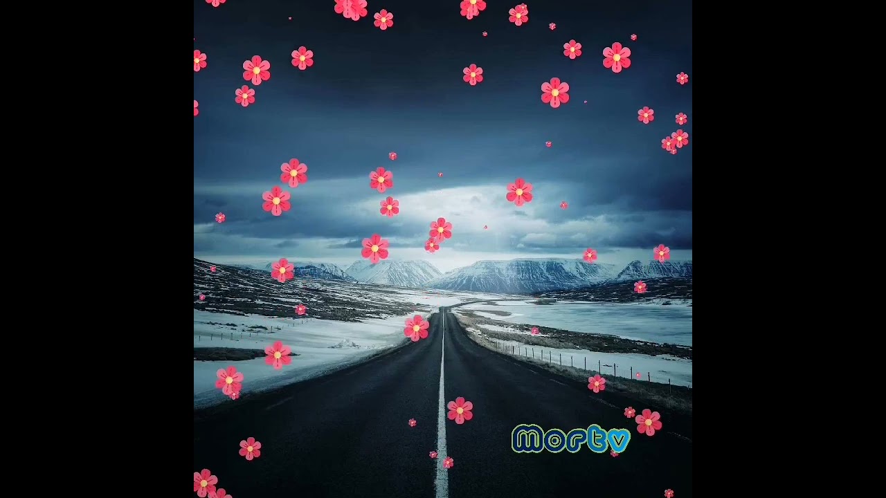 Love Out Loud | mortv_official