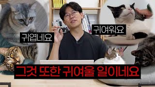 고양이를 왜 기르냐구요? 😼