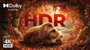 4K HDR Fall Colors | Dolby Vision OLED Fall Color Spectrum 5.1 Music