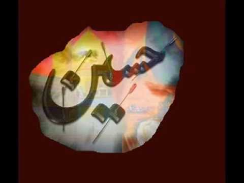 لأن الدنيا الشيخ جميل حليم الحسيني