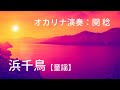 浜千鳥【童謡】(関稔オカリナ演奏)