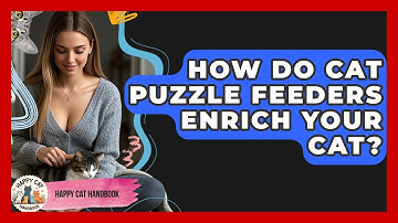 How Do Cat Puzzle Feeders Enrich Your Cat? - Happy Cat Handbook