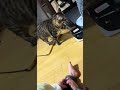 ほっぺをむぎゅーされる息子👶