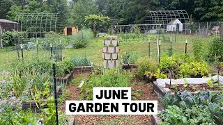 JUNE 2023 Rainy Garden Tour (our small 2-acre homestead) // GroundedHavenHomestead