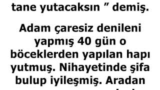 Devamını Oku... Ben Karışmam Kardeşim...