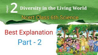 NCERT Class 6 Chapter 2 Science | Easy Explanation for Beginners
