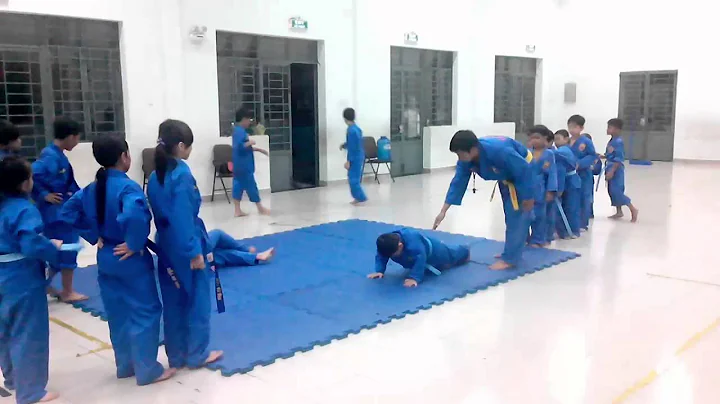 Mt bui hc Vovinam  Trng Tiu hc An Phong