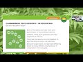 Committee Insights | 10.20.22 | Setting the Stage: Minor, Novel, and Synthetic Cannabinoids