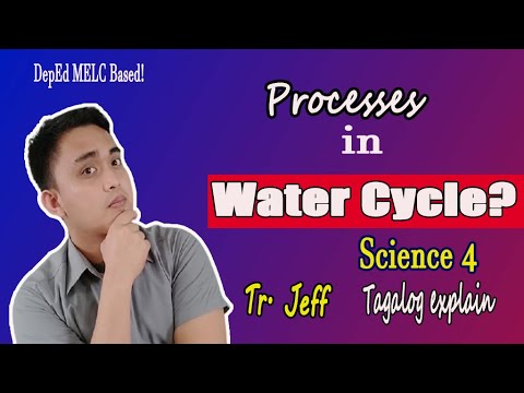 Video: Ano ang water cycle long answer?