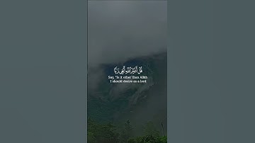 AL-AN'AM الأنْعَامِ 6سورة الأنعام #القرآن_الكريم القارئ أحمد الشافعي#قرآن كريم#quran  _template