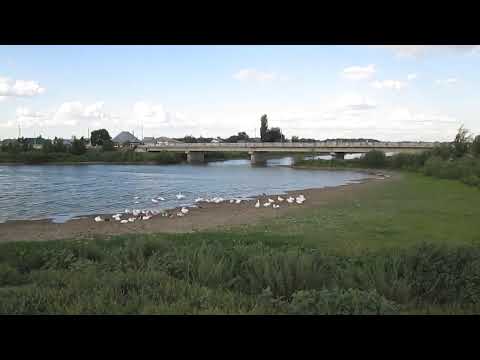Видео: Река Еруслан: поток и характеристики