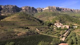 Barcelona Land Of Wines