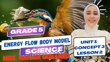 Grade 5 | Unit 1 | Theme 1 | Concept 3 | Lesson 2 |Energy Flow Body Model