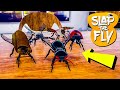 Slap The Fly #47 - TYLKO CUSTOM INSEKTY!