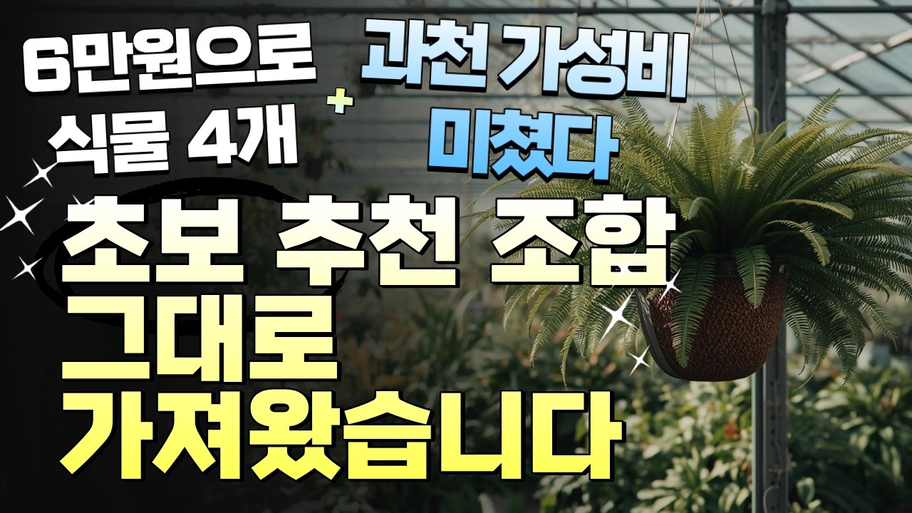 6만원으로 식물 4개 + 분갈이까지 끝내기! 초보들이 모르면 손해보는 과천 가성비 쇼핑 루트 완전 공개