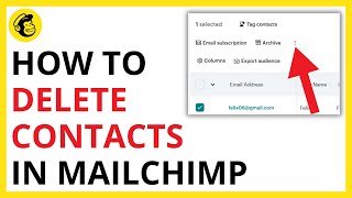 How to Delete Contacts in Mailchimp [QUICK GUIDE]