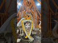 #hariharnath Baba 🙏♥️