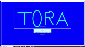 How to solve Linear Programs (goal programming) in TORA