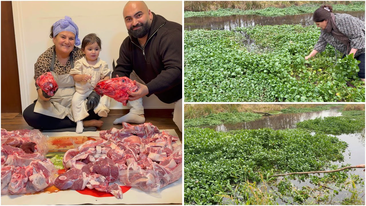 50 KILO LAMMFLEISCH! GEKAUFT & TUZIK GEFUNDEN IN MÜNCHEN  🐑🔥