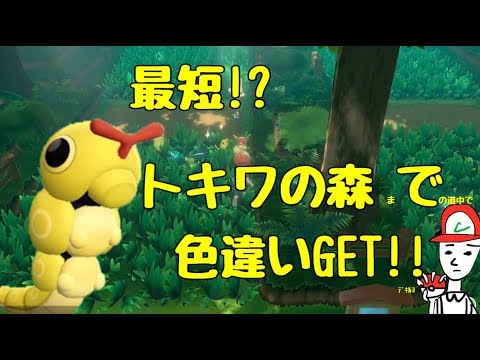 ピカブイ 4 最短 トキワの森で色違いget Let S Go イーブイ ポケモン Youtube