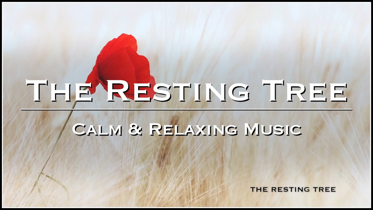 Breath of Calmness - Red Flower, White Field - Music for Sleep, Meditation, Study, Spa, Yoga, Lounge