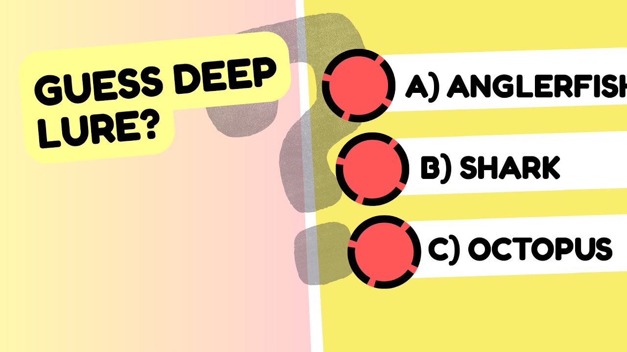 How Well Do You Know Deep Sea Creatures? Test Your Ocean IQ Now! 🌊🐙 