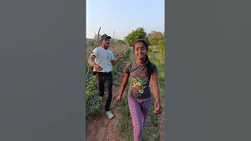 Mali Mali Song Agent Harsha Shorts Trending Trendingonshorts Youtubeshorts Viral Viralvideo 
