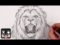 How to draw a lion  step by step sketch tutorial