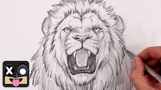 How To Draw a Lion | Step By Step Sketch Tutorial