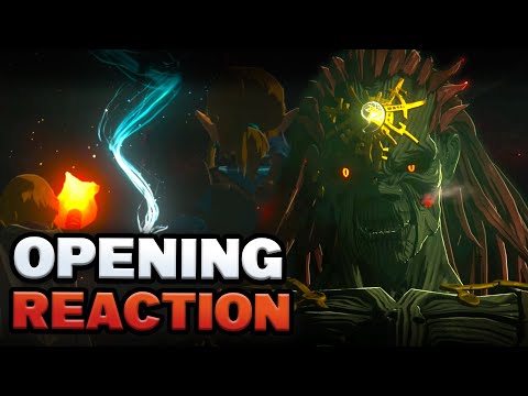 Zelda Theorist Reacts to Tears of the Kingdom Opening