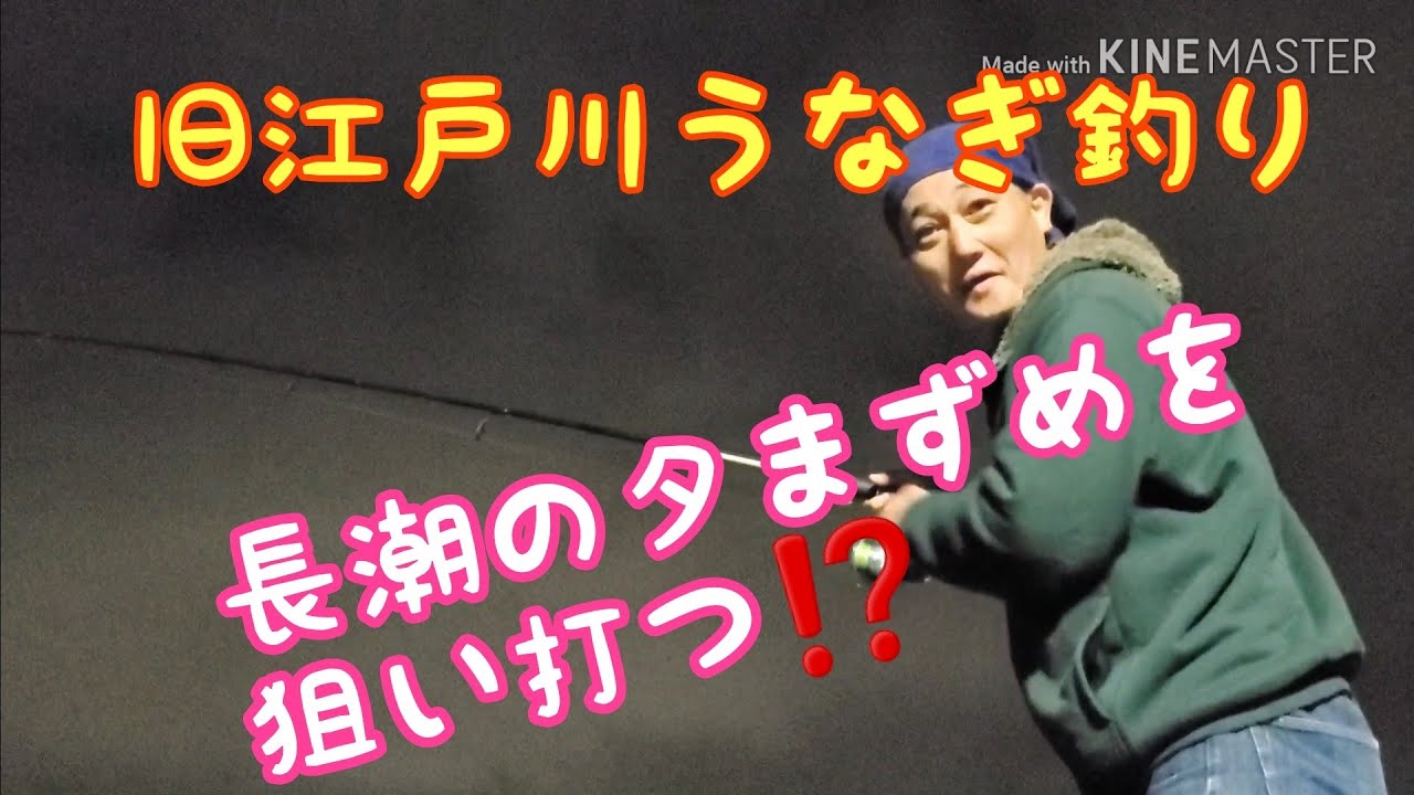 旧江戸川うなぎ釣り蒲焼きへの道‼️長潮の夕まずめを狙い打つ⁉️釣りガール現れテンション上がるぜ‼️