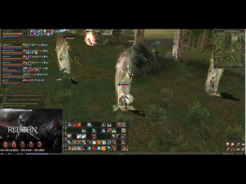 L2 Reborn x1 - Having fun