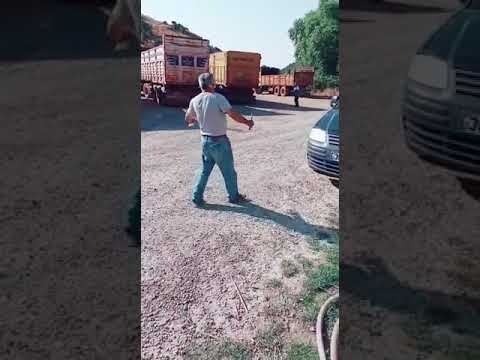 Tikli Adam seloo