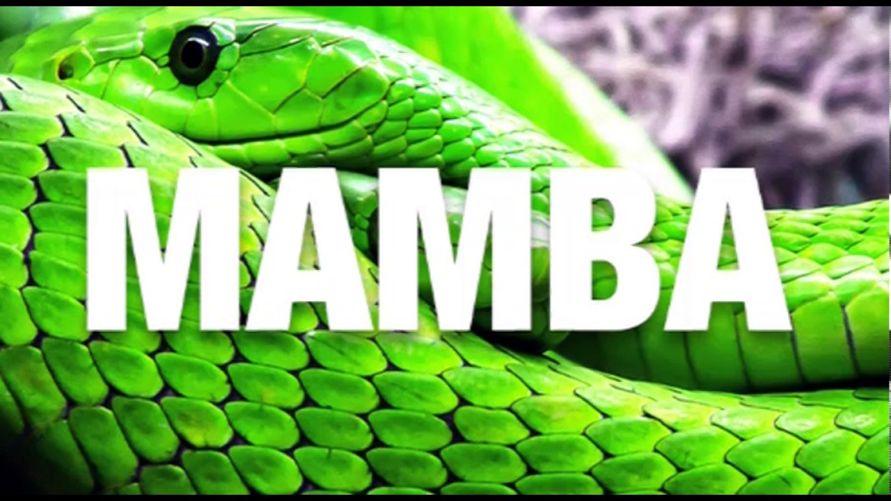 Otray Mamba Original Mix Roblox Song Youtube - roblox epic mini games songs mamba