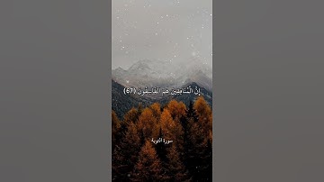 الْمُنَافِقُونَ وَالْمُنَافِقَاتُ بَعْضُهُم مِّن بَعْضٍ || سورة التوبة || علي جابر