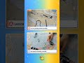 Tieto fakty o svete väčšina tipne zle #quiz #kviz #facts #trivia #quiztime