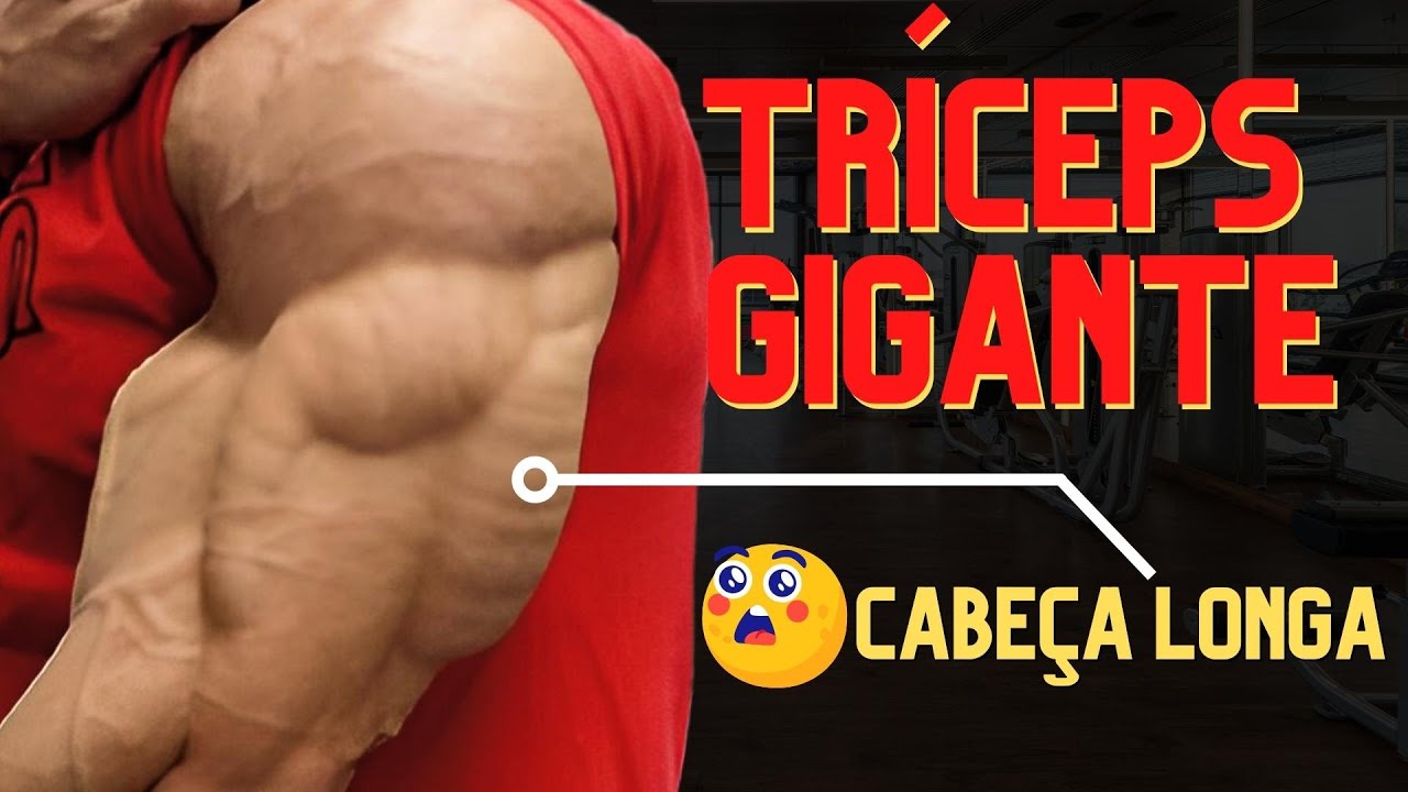 Braços GIGANTES treinando a Cabeça Longa do Tríceps | Dicas Shorts de ...