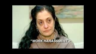Work Harassment -- Ani Chopourian's Story