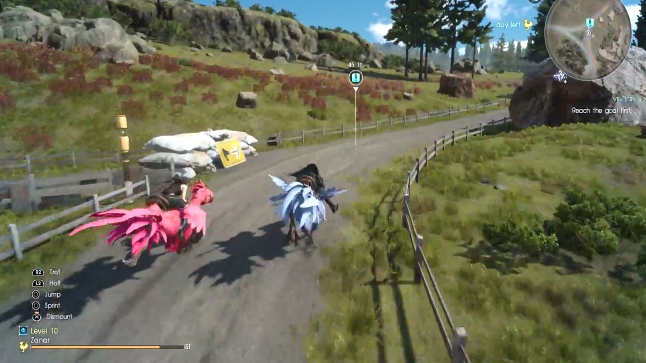 final fantasy xv chocobo  2022 New  FINAL FANTASY XV - Chocobo Race Vs Iris l Final Chocobo Race