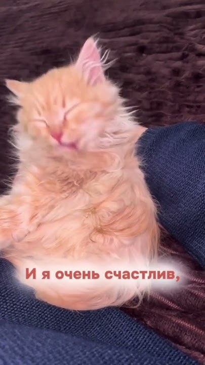 новогодние чудо - YouTube