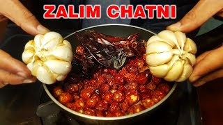 ZALIM CHATNI!!!!!! ZALIM CHATNI ... RED CHILLY SAUCE screenshot 2