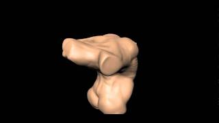 First Mudbox Sculpt: Female Form