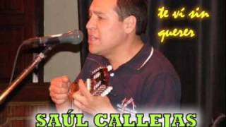 Video thumbnail of "SAUL CALLEJAS - TE VI SIN QUERER"