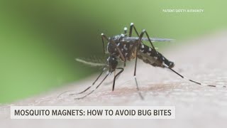 Mosquito magnets: how to prevent bug bites