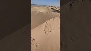 رمال الصحراء الدهبية سمعها