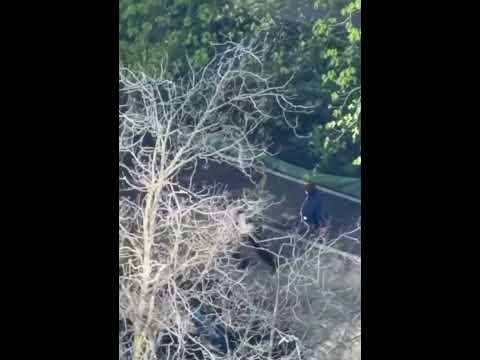 Теракт у Києві: поліцейські втекли з місця стрілянини, дитина залишилась в епіцентрі