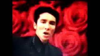 タカラ本みりん てりっこ 郷ひろみCM - YouTube