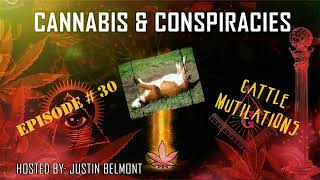 Cattle Mutilations Promo | Cannabis & Conspiracies Ep.30