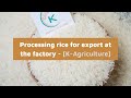 Processing rice for export at the factory rice factory   kagriculture